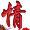 晨晨的头像