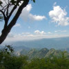 众山高的头像