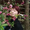 恬恬的人生的头像