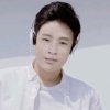 海棠的头像