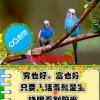 闲渡寒秋的头像