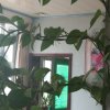 与时俱进的头像