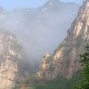 晨曲儿的头像
