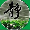 静的头像