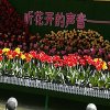 雨过天晴的头像
