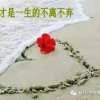 今世有缘小号的头像