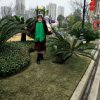 海琴的头像