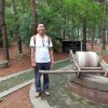 杨丽青的头像