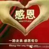 从头再来的头像