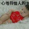 风雨丽人的头像