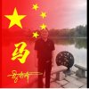 天马的头像