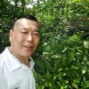 苍狼的头像