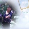 傲雪的头像