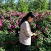 星瀚心声如流水的头像