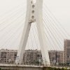 馨馨乐园的头像