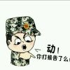 小鱼的理想的头像