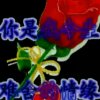 珍惜的头像