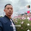 努力中加油的头像