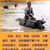 林三少的头像