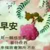 一生浪漫的头像