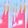 绿叶的头像