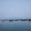 日久见人心（暂离）的头像
