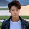 孤独小狼的头像