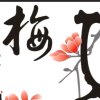  赤壁一枝梅《停》的头像