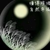 含情冰月的头像