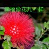 新评梅的头像
