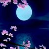 心神《退出》的头像