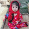 往事如梦的头像