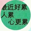 浮云的头像