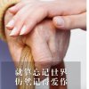 陈思洁的头像