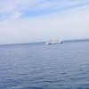 大海的头像