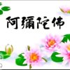 妙音居士(止语……忏己过)的头像