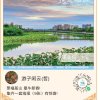 天竺 游子`闲云（用耳机听）的头像