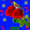 幸福人生的头像
