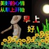 努力，奋斗，拼搏！的头像