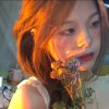 吃香菜嘛。的头像