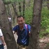 顺其自然的头像