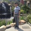 诚信的头像
