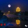 舒心的头像