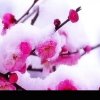 .平常心的头像