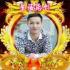 星语《总裁》我只在乎你的头像