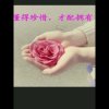 山川云海的头像