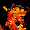 玲龙的头像