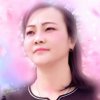 平常心的头像