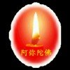 照华的头像