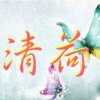 清荷的头像